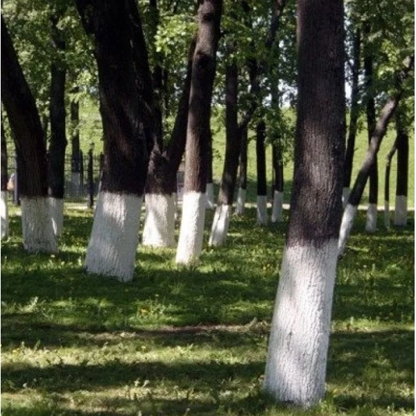Вапно гашене 4кг