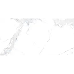 Плитка Алор Avenzo Silver FP R Satin 600х1200мм стіна