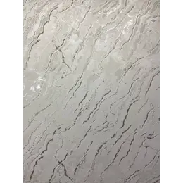 Шпалери Wallcoverings 1х10м DHL-1651/2
