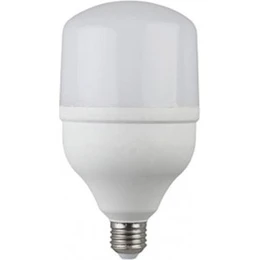 Лампа LED Lezard -T100-30W 6400К Е27 464-T100-2730
