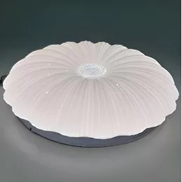 Світильник LED Biom 5000К DL-R605-24-5