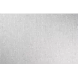Шпалери Wallcoverings СШТ 3-1559  1х10м