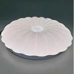 Світильник LED Biom DL-R605-30 30Вт 5000К DL-R605-30