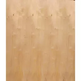 Фанера 10х1525х1525мм 14603004