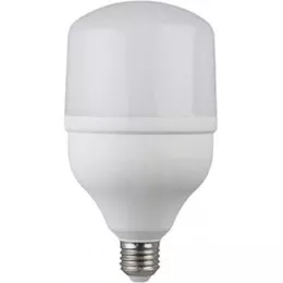 Лампа LED Lezard -T100-30W 6400К Е27 464-T100-2730